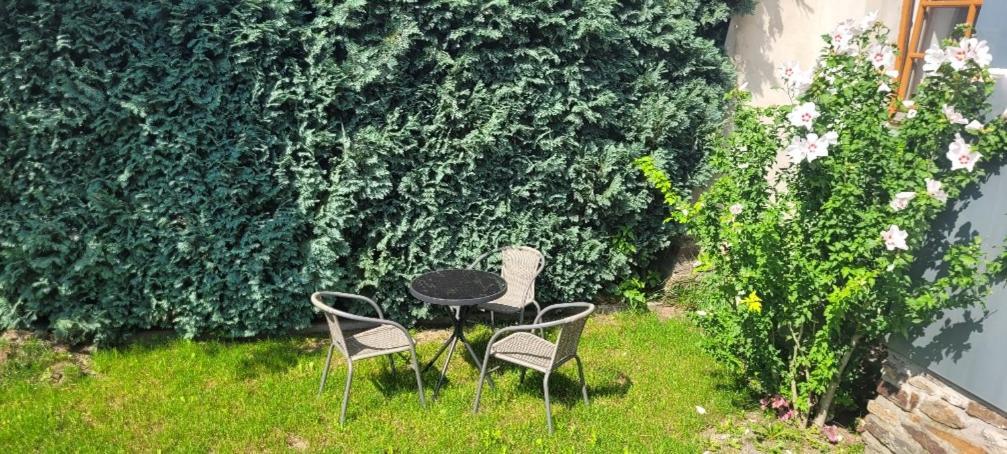 Ferienwohnung Eg Frauenmarkt 1 施内贝格 外观 照片